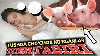 TUSHDA CHO`CHQA KO`RSA NIMF BO`LADI | ТУШДА ЧУЧКА КУРСА НИМА БУЛАДИ туш табири