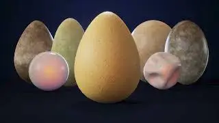 Egg Set and Builder with Ult. Mat., 22 Egg, Nest, Egg, holder, Fractured and Thick shell 