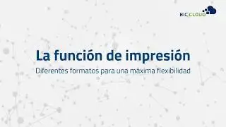 Gestión de procesos - la función de impresión con BIC Cloud
