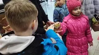 Выставка рептилий