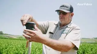 Rain Bird Agriculture Nursery Irrigation Solutions - High Quality and Easy to Install