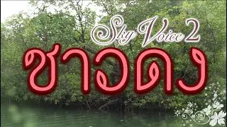 ชาวดง - SKY VOICE [ Official Audio ]
