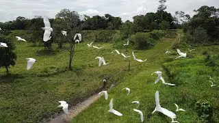 Llanos Orientales, Colombia por Drone (Versión Extendida)