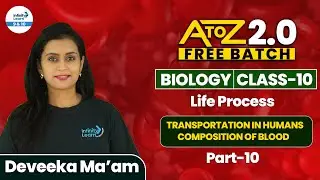 Transportation in Humans: Composition of Blood Explained | Part 10 | Class 10 Biology | CBSE Board