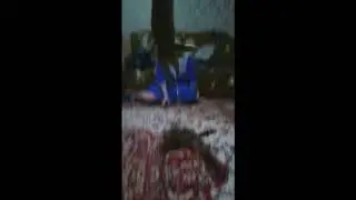 Безумный прыжок кошки,mad cat jump