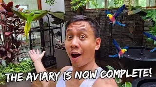 Moving the Birds Into Our New Giant Home Aviary - Sept. 14, 2022 | Vlog 