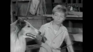 Lassie S01 E19 - Father