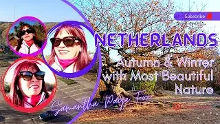 Netherlands Autumn & Winter with most beautiful nature 