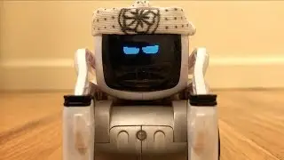 Preview: The Karate Cozmo