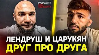 Как борется Лендруш / Царукян и голые кулаки / ТОПЫ из Армении в Hardcore и UFC