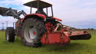 Mowing in the rain helps control Californian thistle