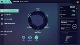 81k Grishot 100% Accuracy | Mutedd