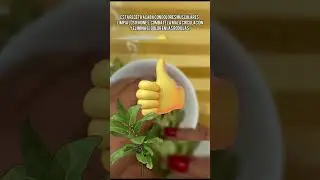 COMBATE el dolor de rodillas, mala circulación, dolores, de articulaciones con esta receta natural.
