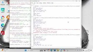 What type of arguments will a Python function accept?
