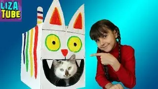 Liza Builds Box Fort House for the Cats! LizaTube