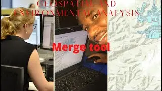 How to Merge different dataset in ArcGIS