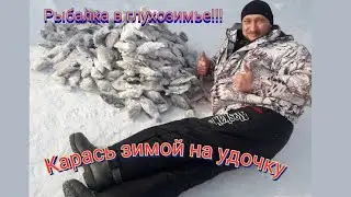 Рыбалка мечты/Зимняя рыбалка на карася/Ловим рыбу не выходя из домика/Озеро Чаны/февраль 2022/Часть1