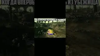 Фоллаут мемы 6 