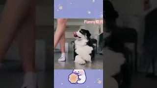 😂 🤣