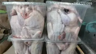 Рабочий день перепеловода, у меня нет МЫШЕЙ и не будет.!!!