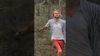 новое интро