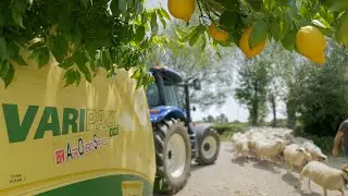 Die Brüder Pons, Schafhalter aus Frankreich, setzten auf die KRONE VariPack