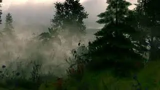 Motion Graphics Nature