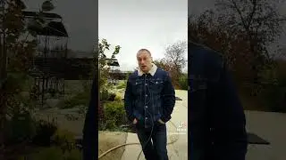 и снова топ от мма. Павлович-Аспинал.
