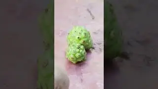 નોનીના ફાયદા 