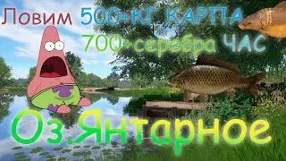 Фарм на озере Янтарное. Русская рыбалка 4. Аккаунт универсал.