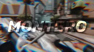 montero❄️ (valorant montage)