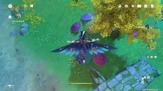 Genshin Impact | Inn Treasure