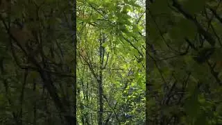 23 мая 2023 г.