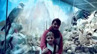 Снова-Новый-Год