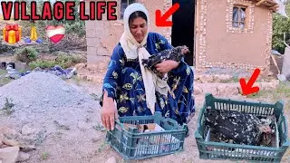 The Beautiful Story: A Hen and Her Chicks with a Homeless Mother in a Village”