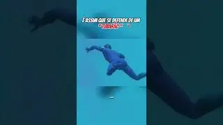Ninguém nunca te contou !! Mas é assim que sobrevive a um ataque de tubarão #shorts