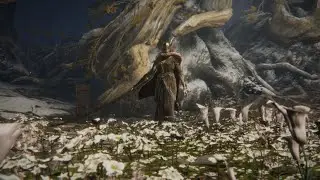 Letting 2 people beat Melania in ELDEN RING
