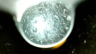 Borescope - Remington 750 in 308 VIN