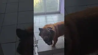 Хитрый план красотки хитропопой
