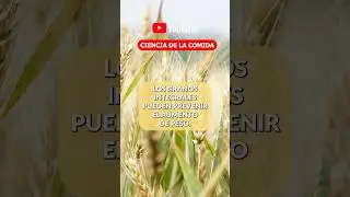 LOS GRANOS INTEGRALES PUEDEN PREVENIR EL AUMENTO DE PESO #salud #cienciadelacomida #bajardepeso