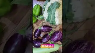 Так можно жить? За 6 кг 600 гр овощей заплатили 340 руб. Гоа - это рай для вегетарианцев