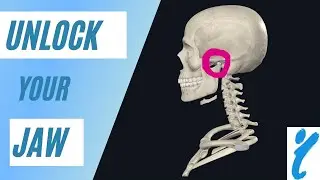 Instant TMJ and JAW PAIN relief!