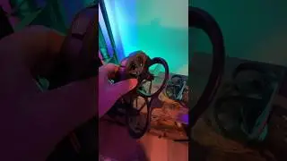 DJI Avata ❤️
