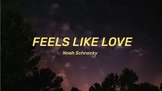 Noah Schnacky - Feels Like Love (Lyrics)