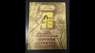 Юрий Дмитриев. Таинственный ночной гость.