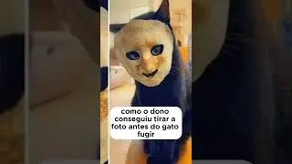 O Gato Mais Macabro Que Já Existiu??  _ Fotos Aterrorizantes  