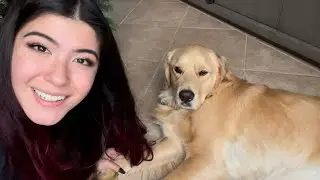 Asmr with my friend’s dog 💕🐕🎄