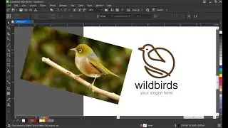 CORELDRAW PROFESSIONAL TECHNIQUES FOR EXPERTS & BEGGINERS | LOGO DESIGN TUTORIALS | DOCTOR DESIGN