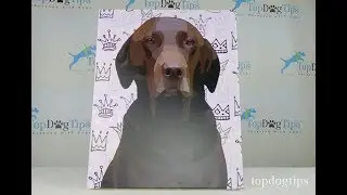 Personalize My Pup Pet Portrait Canvas Wrap