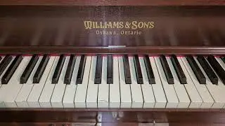 Player Piano: "If I'm Dreaming" ft. my dog!